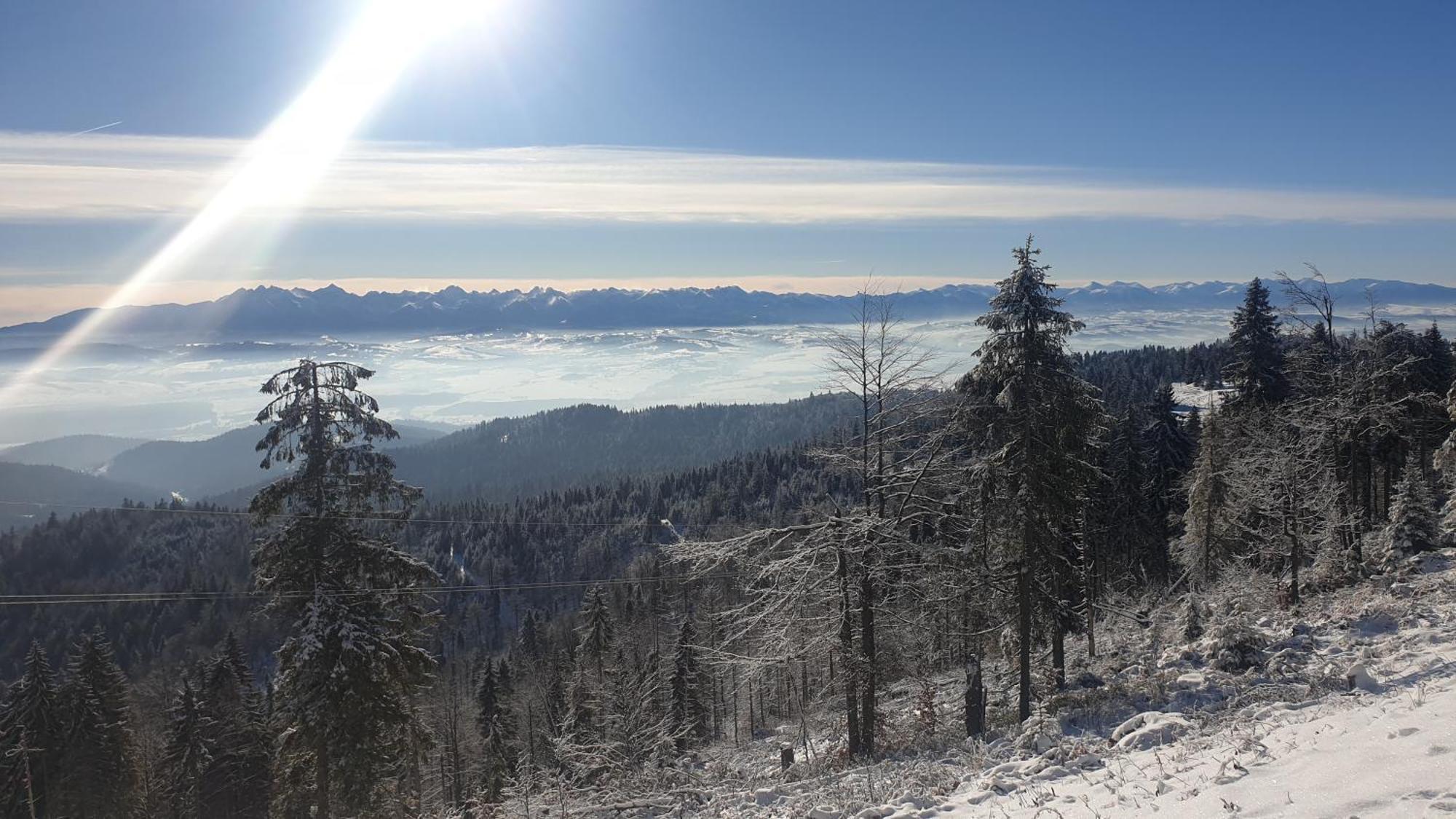 Chatka Gazdzinek Czarna Góra Exteriör bild